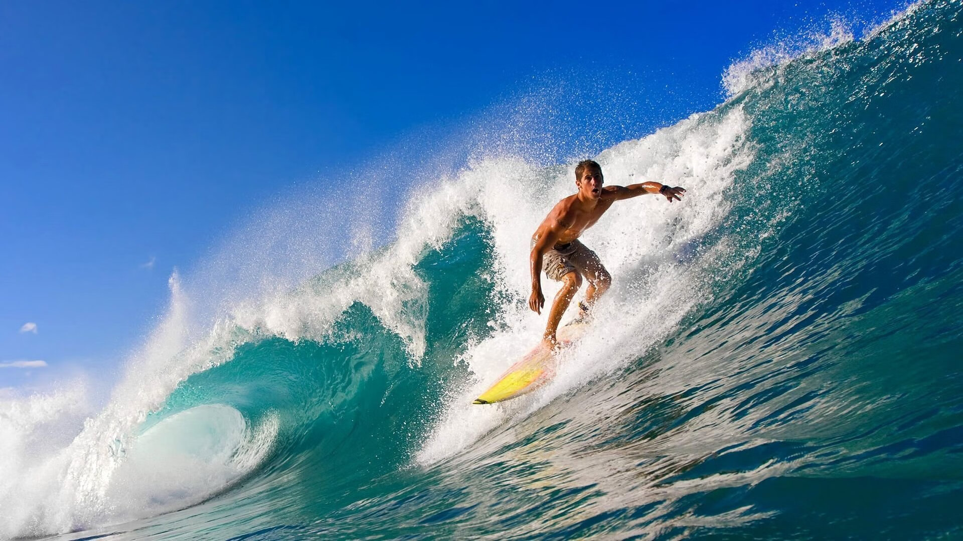 凯瑟琳·伯科夫女子50米仰泳决赛表现稳健，女子50米仰泳世界纪录多少